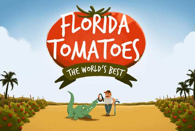 Florida tomatoes