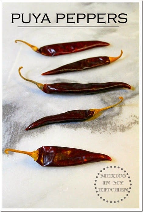 Salsa de Chile Puya y Árbol │Puya peppers