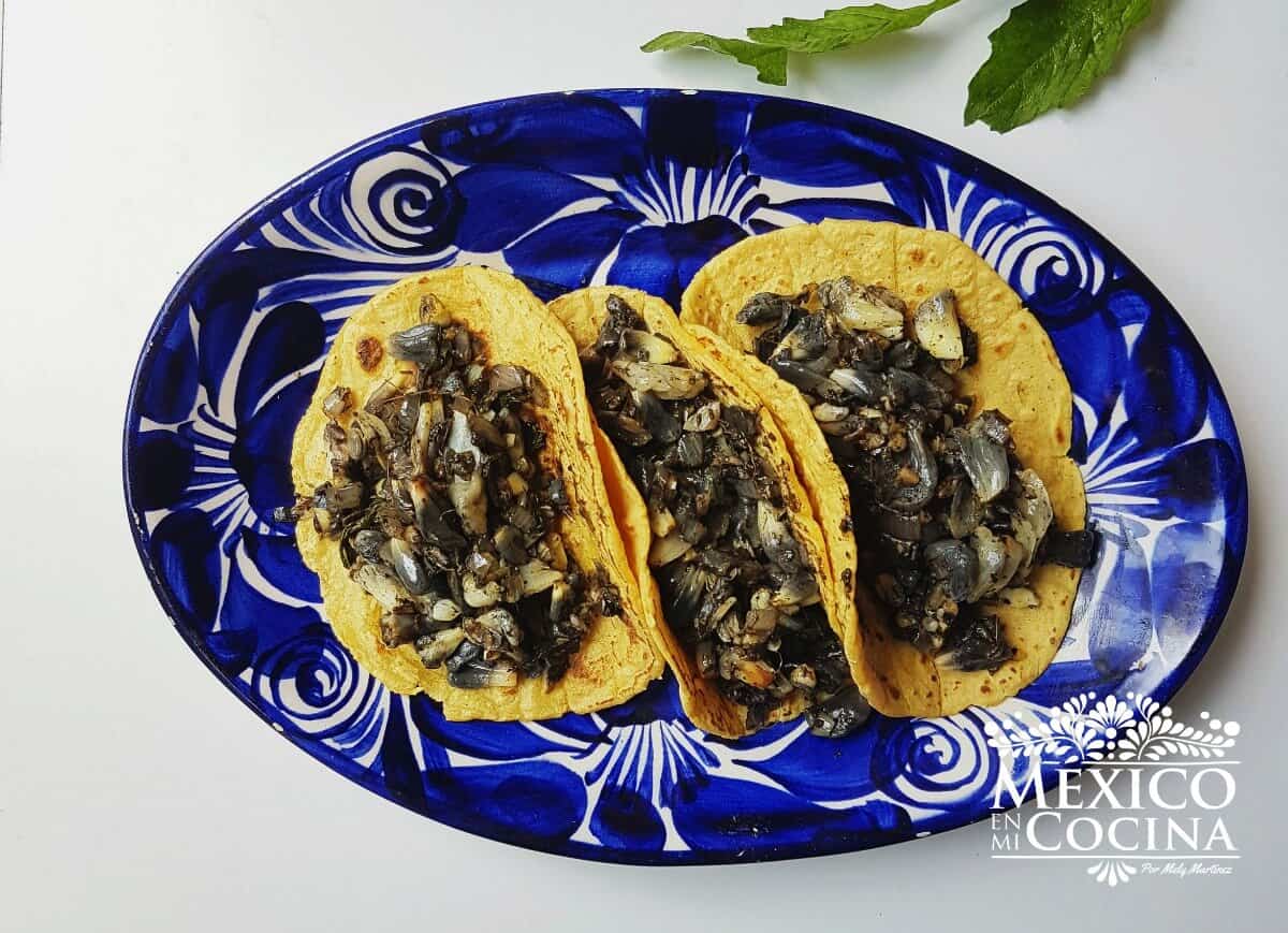 Tacos de Huitlacoche / Conoce todo acerca del Huitlacoche