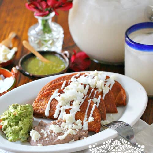Enchiladas Potosinas, Receta Casera Deliciosa! | México en mi Cocina